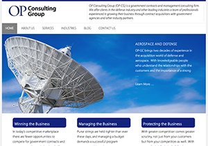 OP Consulting Group